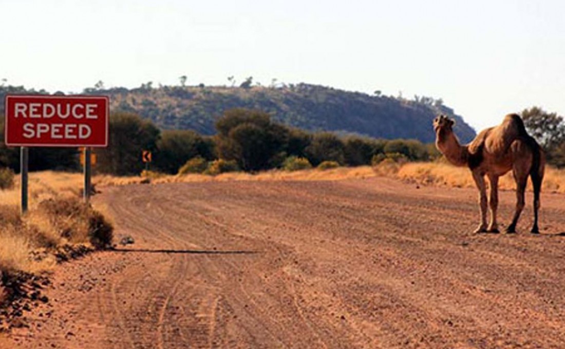 Tips for Driving on Corrugated Roads